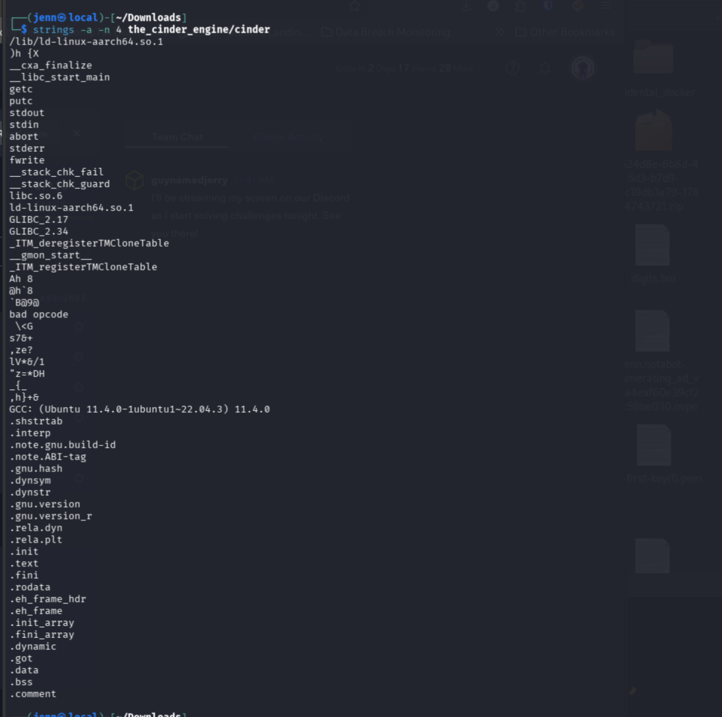 strings output showing bad opcode and minimal interface